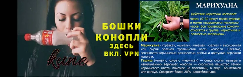 MEGA сайт  Шлиссельбург  МАРИХУАНА SATIVA & INDICA 